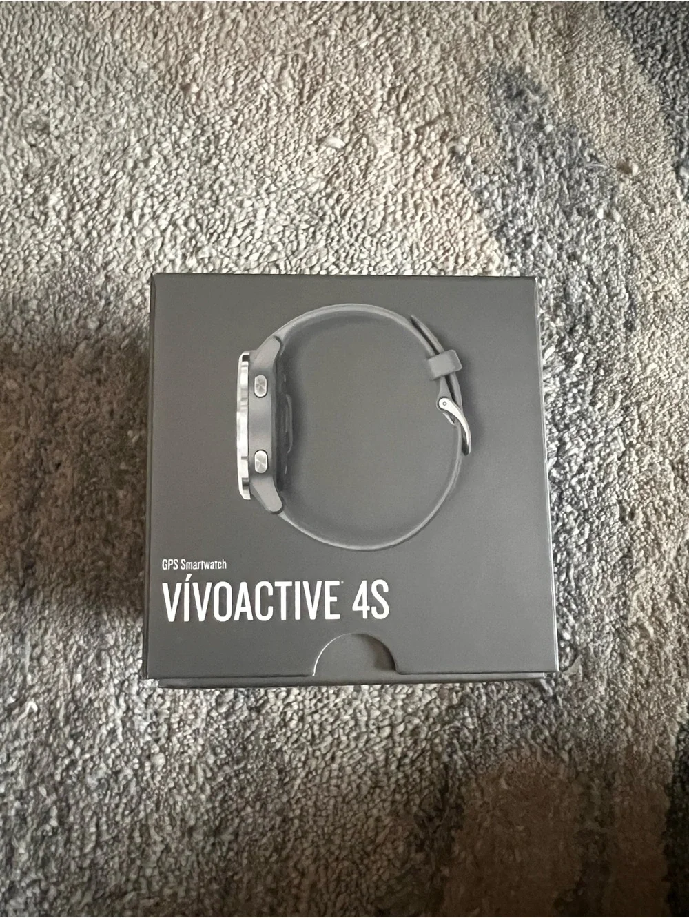 garmin original vívoactive